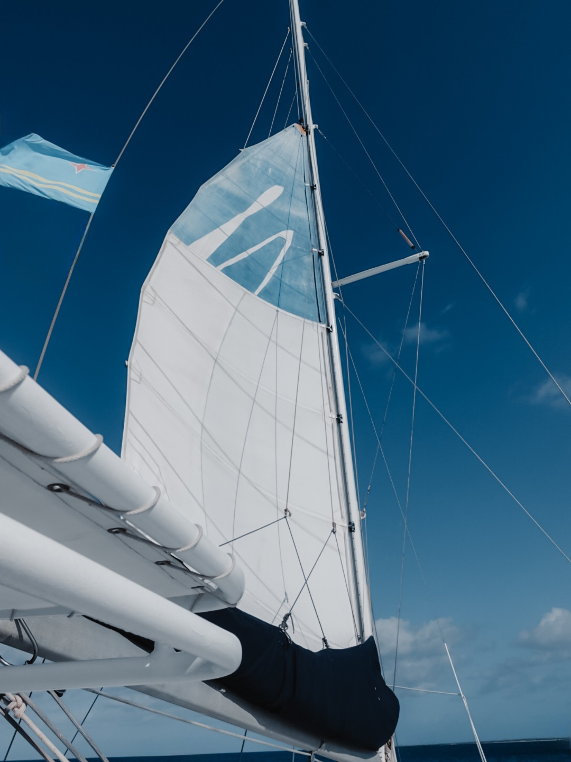 Pelican Adventures catamaran cruise Aruba